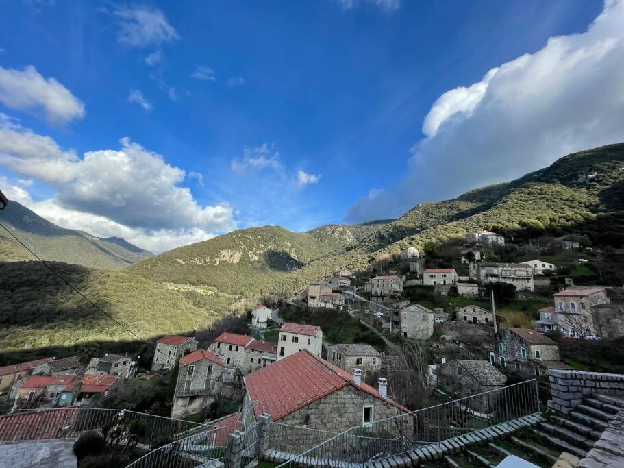 Casa Arena Authentique Maison De Village Avec Piscine Au Coeur De L'Alta Rocca - Zoza Exterior photo