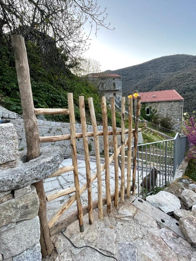 Casa Arena Authentique Maison De Village Avec Piscine Au Coeur De L'Alta Rocca - Zoza Exterior photo