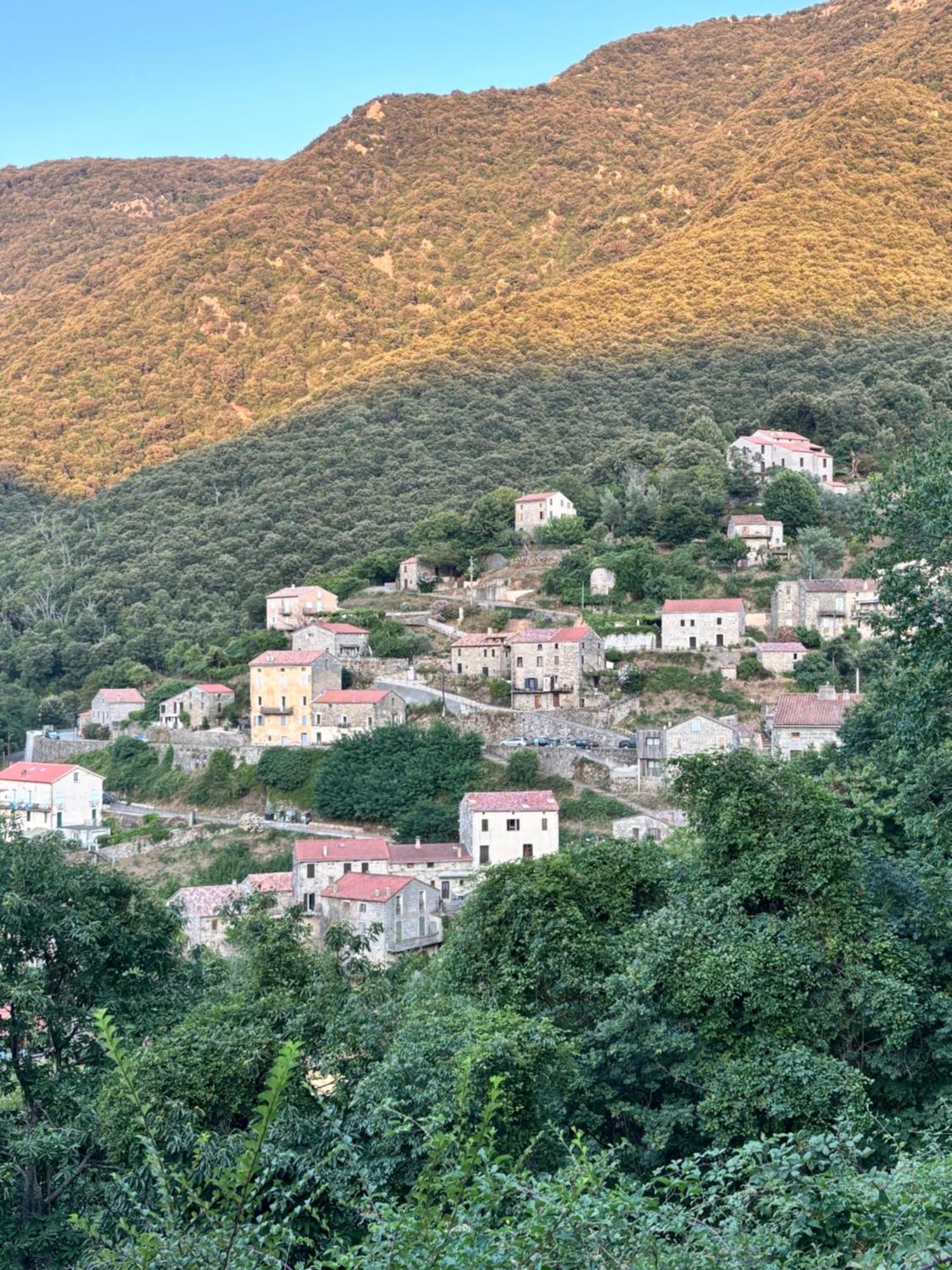 Casa Arena Authentique Maison De Village Avec Piscine Au Coeur De L'Alta Rocca - Zoza Exterior photo